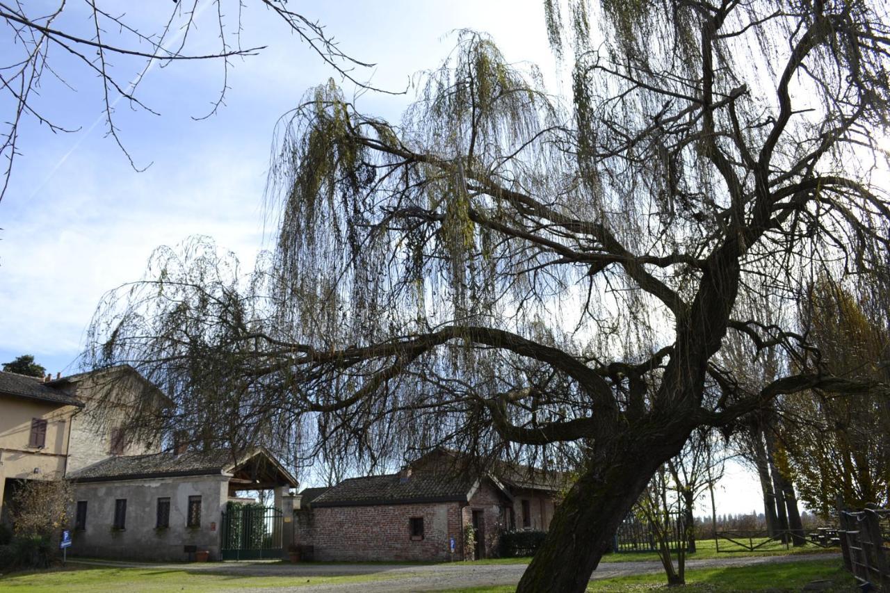 Agriturismo Fiamberta Bed & Breakfast Certosa di Pavia Exterior photo